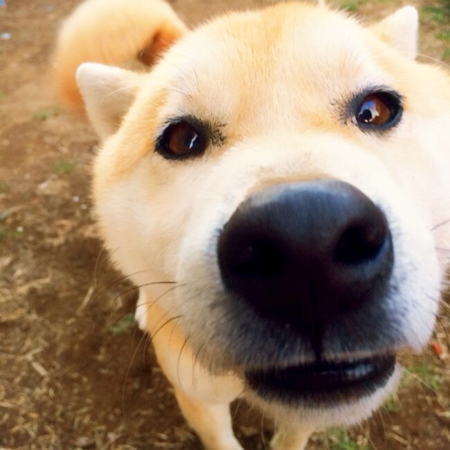 すずきくうのカバー写真