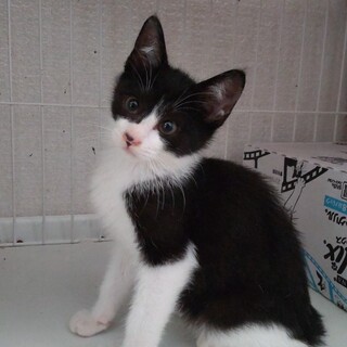 ■人懐っこいユー君 ※募集一時ストップします