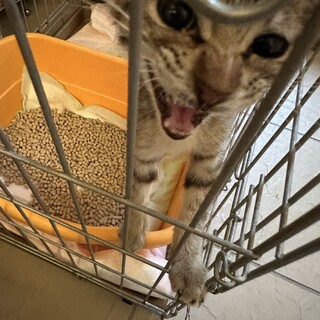 3ヶ月小顔の女の子です。