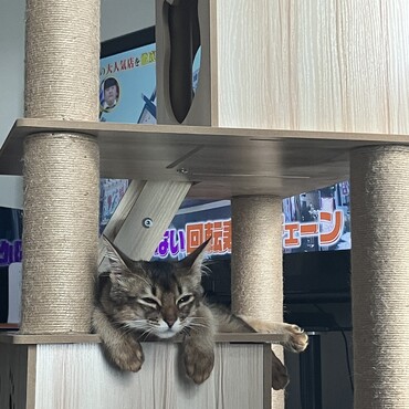 ぐっすり