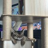ぐっすり