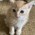 まだまだ赤ちゃんボーイ！！
