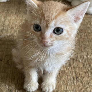 まだまだ赤ちゃんボーイ！！