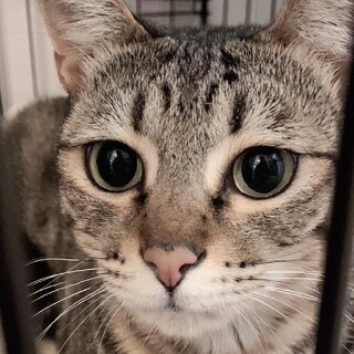 爽やかな瞳の甘えんぼ♥イケメン・東山くん