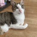甘えん坊のホイちゃん