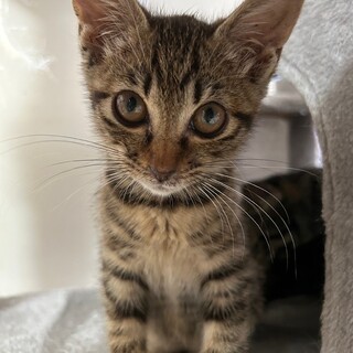 風邪っぴきからの復活★ひまわりちゃん