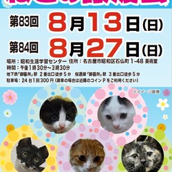 猫の譲渡会　in　名古屋市昭和生涯学習センター サムネイル1