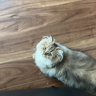 の写真