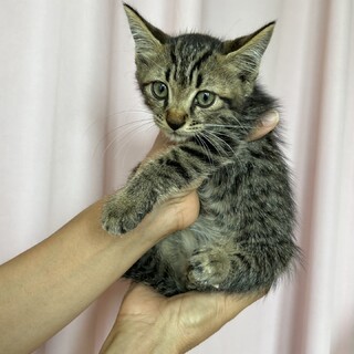 あたたかい家庭に迎えられました！