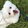 さち