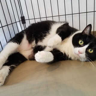 ビビビッってくるはず♡ビビ