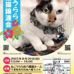 ねこうらら 保護猫譲渡会