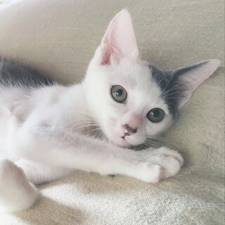 元気いっぱい!マイペースなタタくん☆