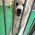 ありがとうございました！