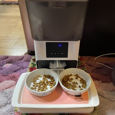 新しい給餌器に一手間、2匹用になりましたヽ(´▽｀)/