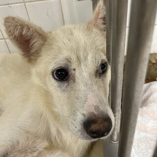 まだ子供です！期限が14日までです！