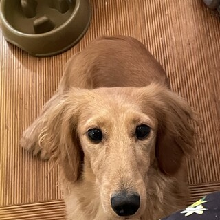 元気いっぱいの男の子です