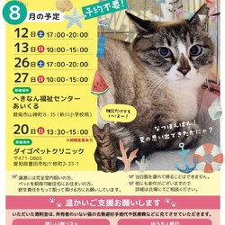 保護猫の譲渡会（ねこの歩添道 主催の譲渡会)