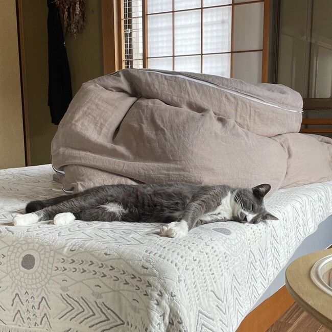 クラメロのカバー写真