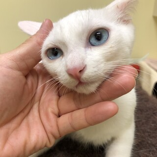 ララは、とても積極的です！