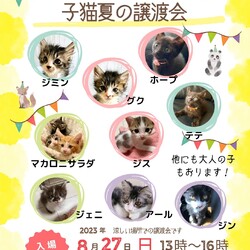 子猫の譲渡会