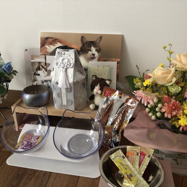にゃーこおばあちゃんのカバー写真