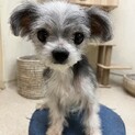 ※問い合わせ多数のため受付一時停止中