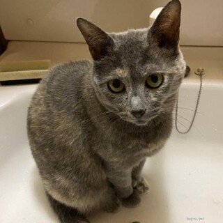 人馴れ抜群　なーこちゃん