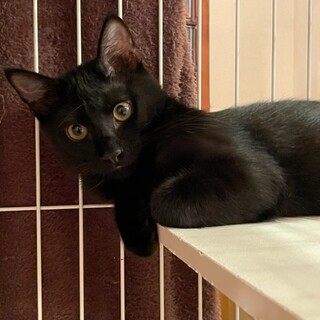 愛らしゴロゴロ男子　よう君！3ヶ月