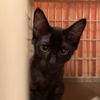 元気一杯～とても穏やか！ひろと君（2ヶ月）