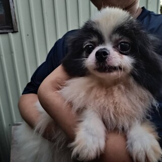 幸せになってもらいたい