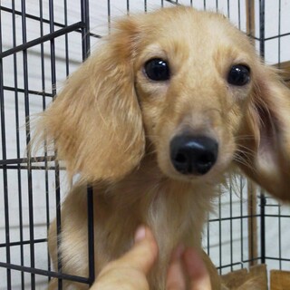 幸せになってもらいたい