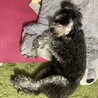 の写真