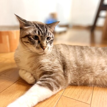 の写真