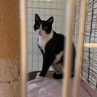 〝モモちゃん〟です♪