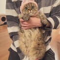募集終了