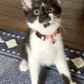 ステキな里親さんが見つかりました