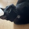 アンニュイ