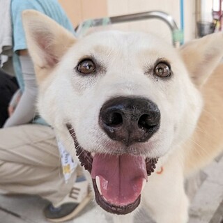 とっても人懐こい男の子☆太陽くん