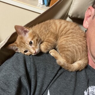 有難う御座いました