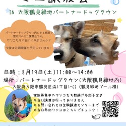 ピースワンコ生駒ミニ譲渡会in大阪鶴見緑地パートナードッグタウン サムネイル1