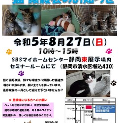保護ニャンコの譲渡会ｂｙ静岡市清水区