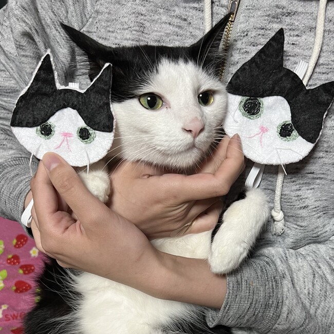 ビスケットの日のカバー写真