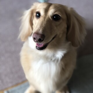 愛想良しでイケメンくん♡