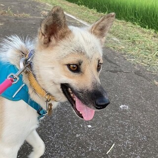 「ぐう」女の子