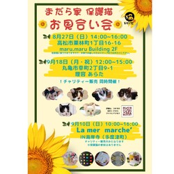 保護猫のお見合い会