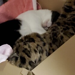 うなと出会ってからの成長ぶり