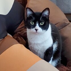 「うなと出会ってからの成長ぶり」サムネイル2