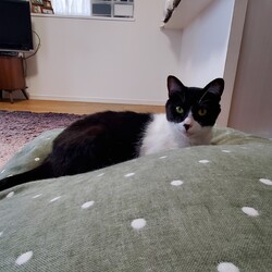 「うなと出会ってからの成長ぶり」サムネイル3