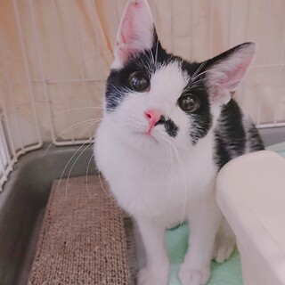 元気いっぱい！遊ぶの命！